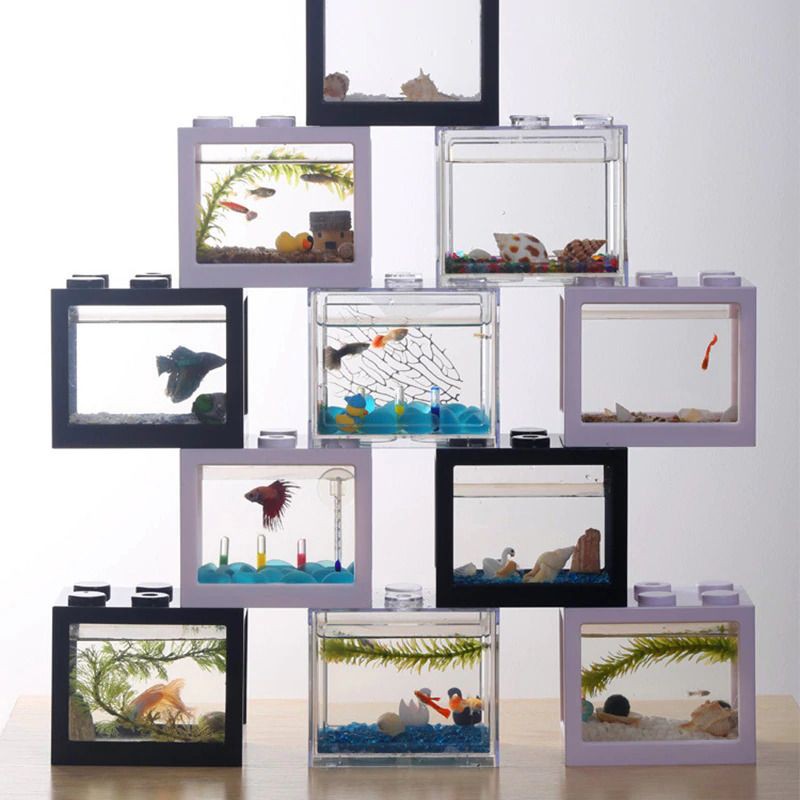 aquarium akuarium mini acrilik 8x8x11 ikan hias ikan cupang