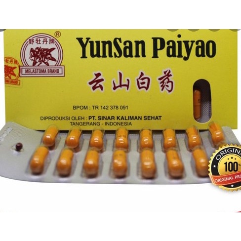 Yunnan Paiyao Yunsan Paiyao Original Obat Tradisional Luka Dalam
