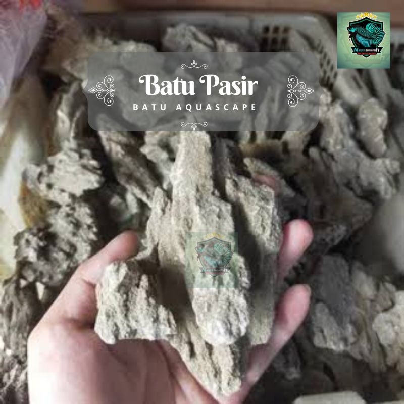 Batu Aquascape Batu Pasir atau Sand Stone