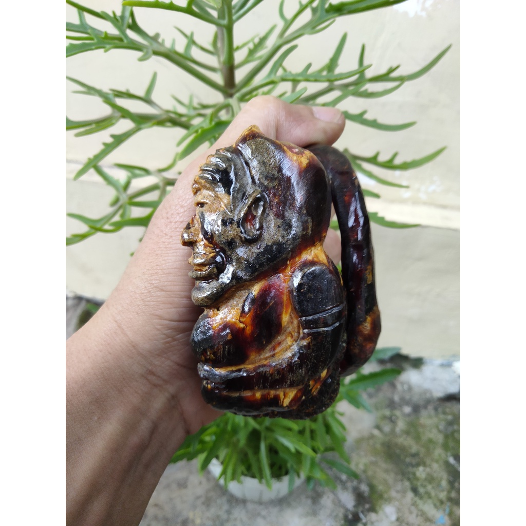 gelanag akar bahar merah ukir semar tembus cahaya