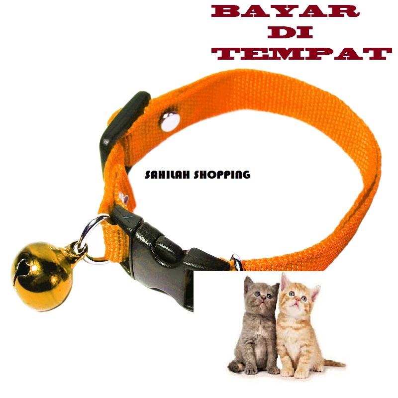 KALUNG KUCING LUCU ANEKA WARNA POLOS DENGAN BUNYI LONCENG TERMURAH