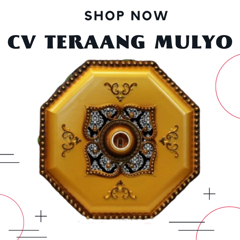 Fitting Lampu Hias Ornamen Plafon 30cm Vicon 3024-Fitting Ornamen