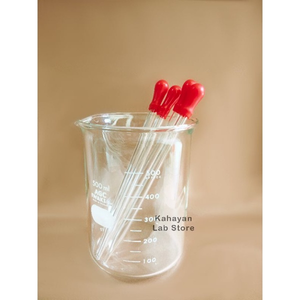 Jual Gelas Kimia Beaker Glass Iwaki Pyrex Low Form 250 Ml Shopee Indonesia 4756