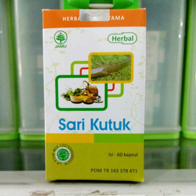 

Sari Kutuk Hiu