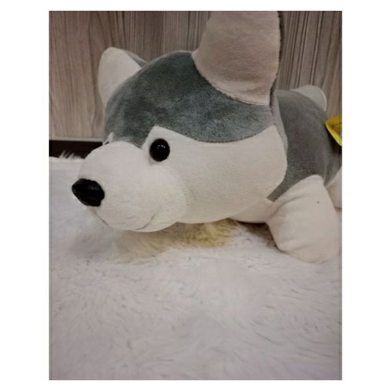 Boneka Dog Husky Lucu Boneka Anak Boneka Anjing Boneka Lucu Hadiah Anak Hadiah Boneka Kado Anak Kado Boneka Hadiah lucu anak