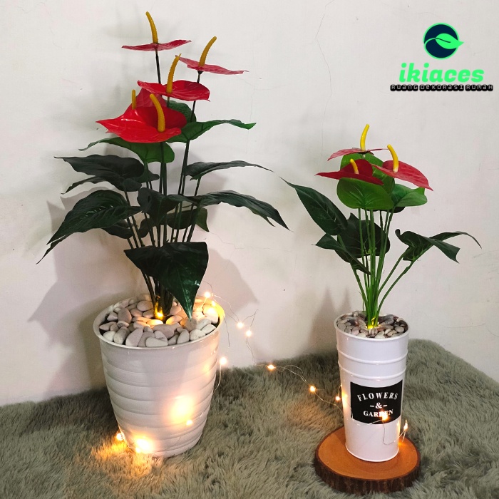 PROMO BUNGA POT HIAS JUMBO BUNGA ANTHURIUM BUNGA JUMBO ANTHURIUM BUNGA ARTIFISIAL BUNGA PLASTIK