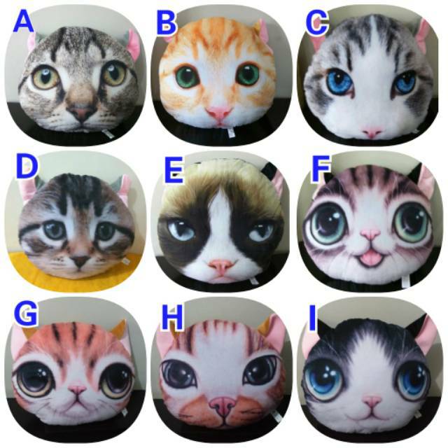  Bantal Kucing  Shopee Indonesia