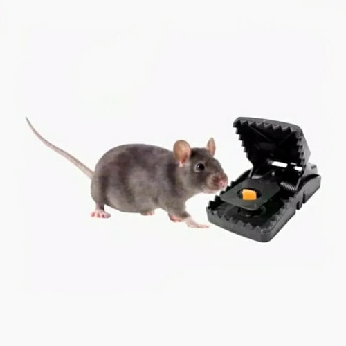 Alat Perangkap Tikus Jebakan TIKUS jepit