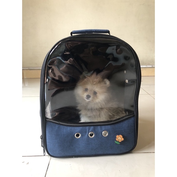 Tas anjing kucing / pet carrier backpack travel