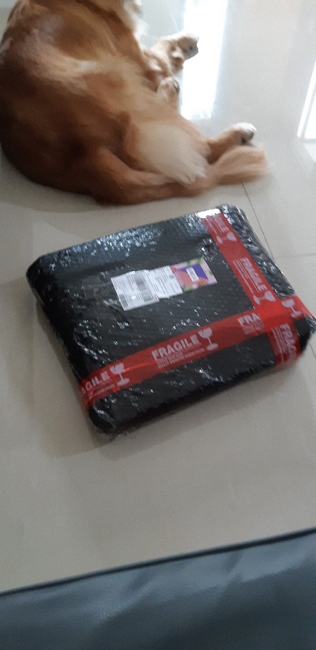 Greda Maya Foldable Baskom Multifungsi