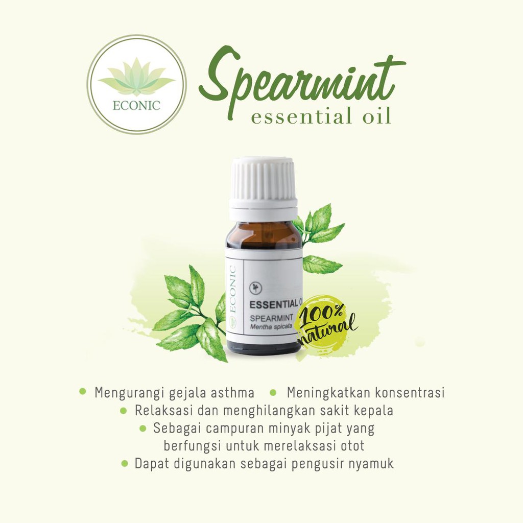 Essential Oil Spearmint 100% Murni | Aromaterapi untuk Fokus &amp; Ketenangan | Minyak Esensial Alami