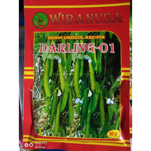 Benih unggul Kecipir DARLING 50gram