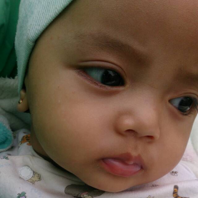hevi221