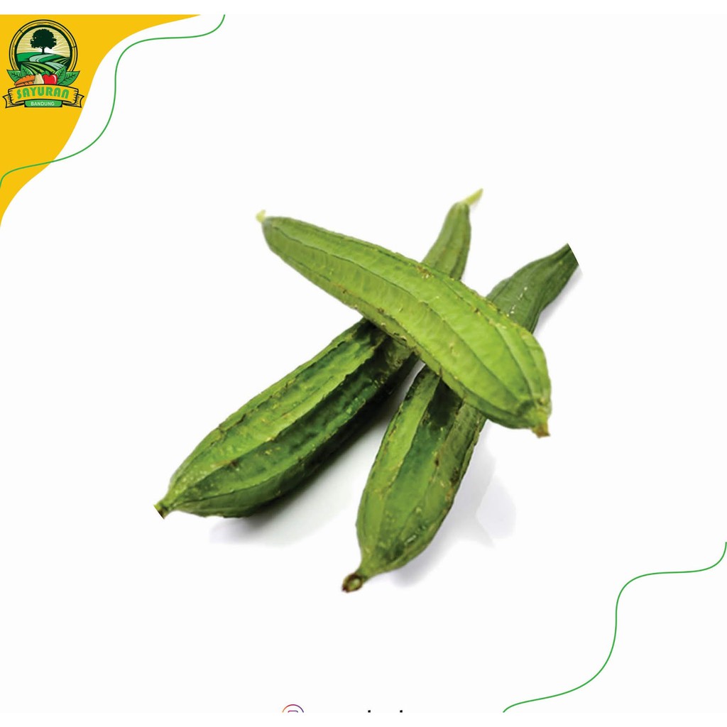 

Segar oyong /250gr