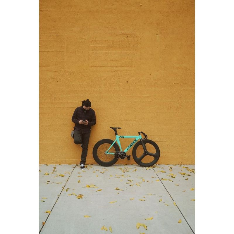 frame fork leader custom