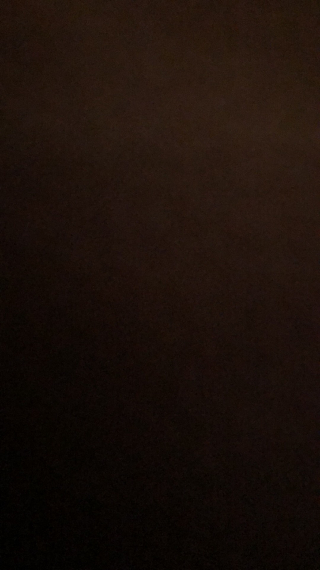 Cover Tas Gaun Wedding / Sarung Tas Baju Pengantin /cover Gantungan Gaun/ Pelindung Baju Gaun 160 Cm