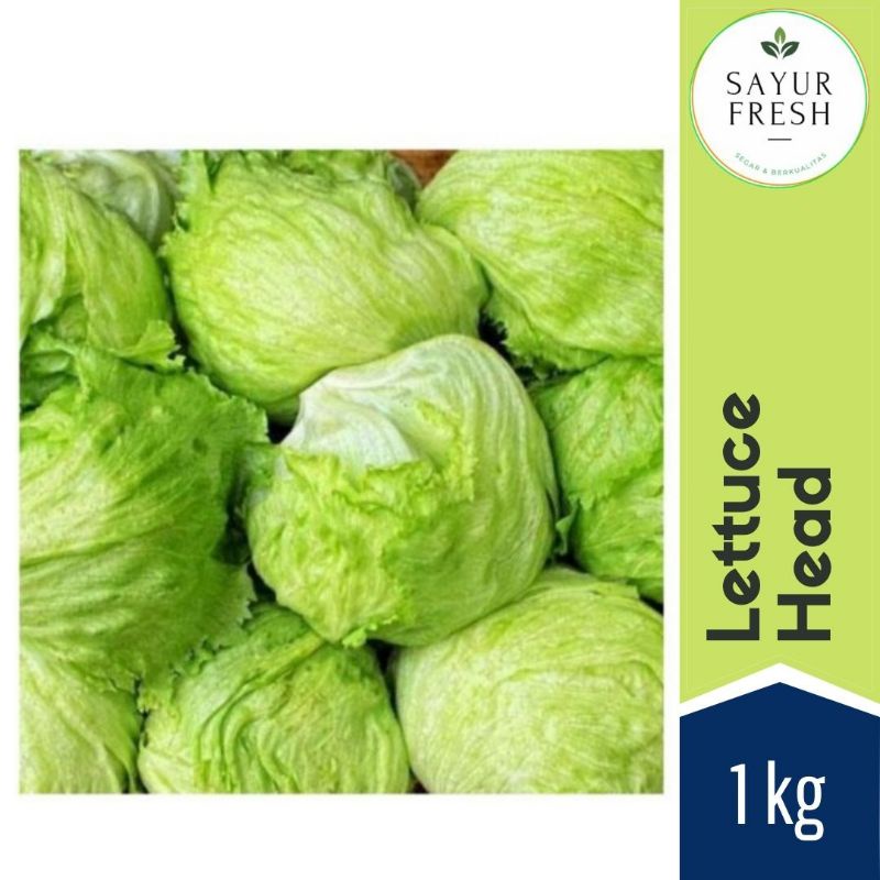 

Lettuce head 1 kg