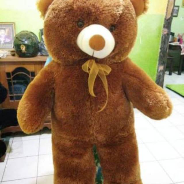 Boneka teddy bear jumbo 80cm