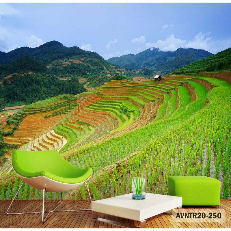 Wallpaper Dinding 3D Wallpaper Custom 3D Wallpaper Pemandangan Sawah Wallpaper Alam Desa