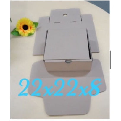 Kardus/box/hampers/packing/dus 22x22x8