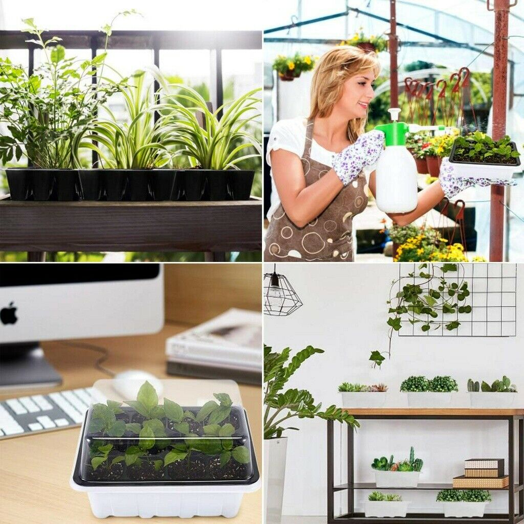 6/12 Holes Seedling Trays Seed Starter Starter Plant Flower Grow Seed Tray Box/Propagation For Gardening Grow Starting Germination Plastic Nursery Pots