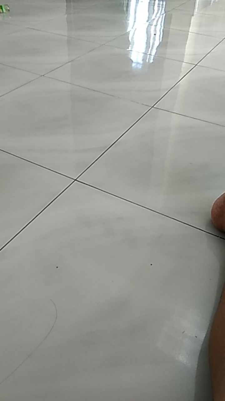Gurita Bayi Rekat