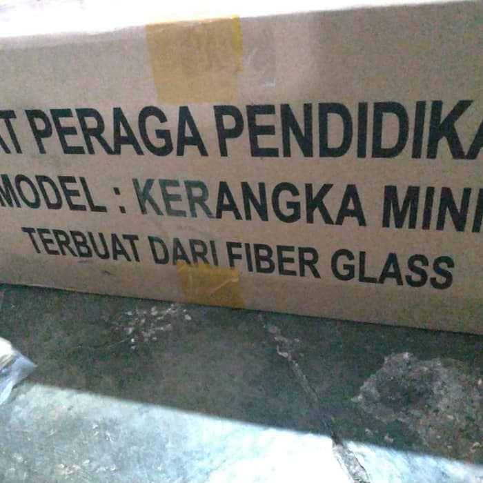MODEL KERANGKA MINI, KERANGKA MANUSIA MODEL ANAK - ANAK