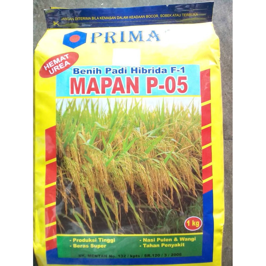 Benih Padi Mapan P-05 Hibrida F1 Padi Wangi Pulen