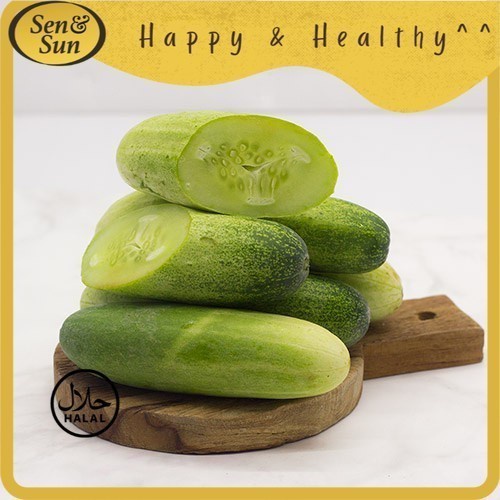 

Sen&Sun Timun Conventional 500 gram