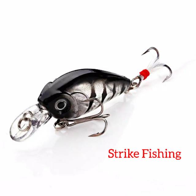 Minnow Hard Lure 3D eye