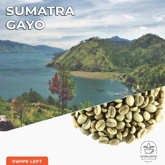 

Green Bean Arabika Sumatra Gayo Semiwash Biji Kopi Mentah Arabika Gayo