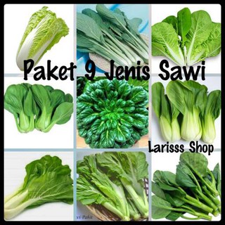 Benih Paket 9 Jenis Sawi iHidroponiki iOrganiki Shopee Indonesia Benih Paket 9 Jenis Sawi iHidroponiki iOrganiki Shopee Indonesia
