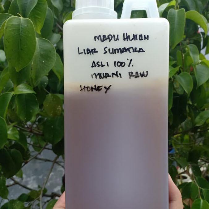 

madu hutan murni sialang sumsel 1kg