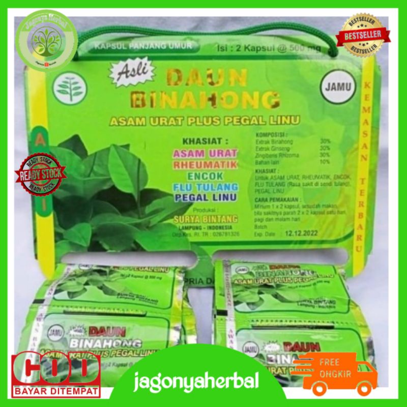 Jual Binahong Kapsul Daun Binahong Daun Binahong Sachet Shopee