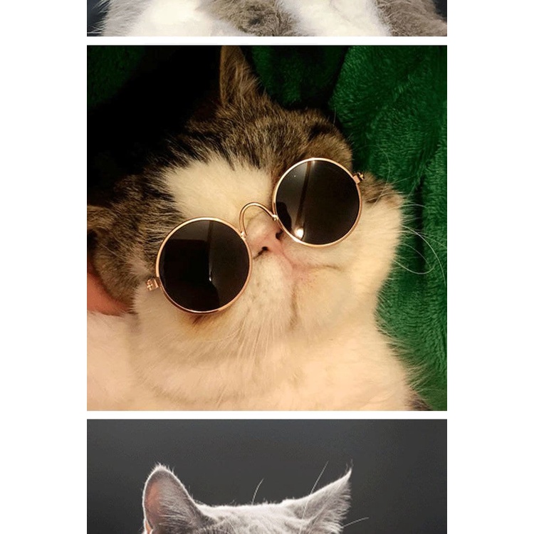 Kacamata Kucing Anjing Cat Dog Pet Sun Glasses Kaca Mata Gelap Hewan FEZONE