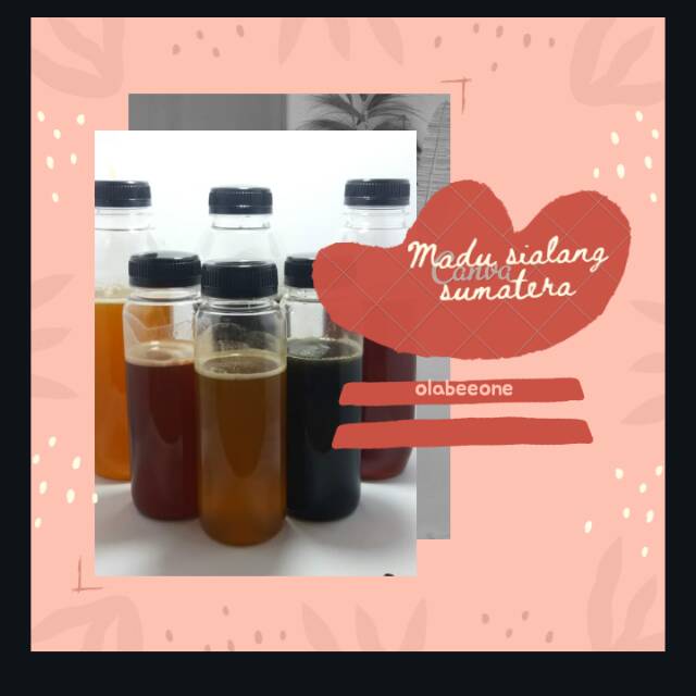 

MADU SIALANG ASLI 500 GRAM FREE 40 GRAM