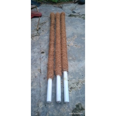 Turus perambat bunga &/turus(80cm)