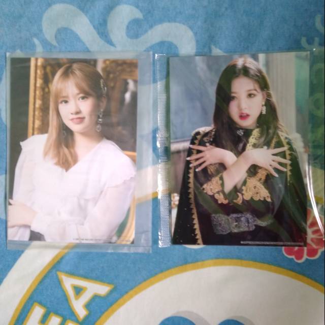 PP Yujin Wonyoung Vampire photopack pc