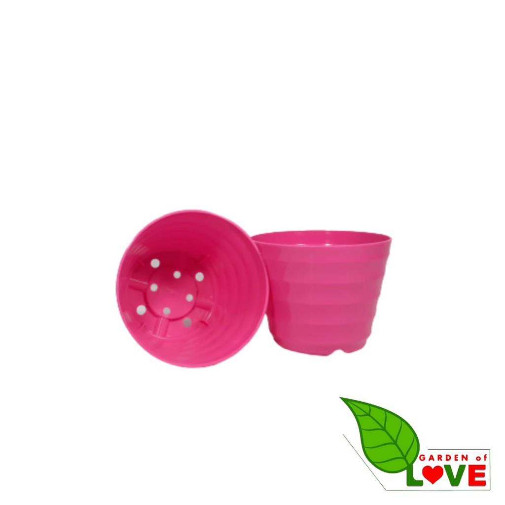 Pot King Mado 12 Putih Warna Warni By Garden Of Love Pot Plastik Kaktus Mini Murah Lucu Mirip Pot Tawon 12