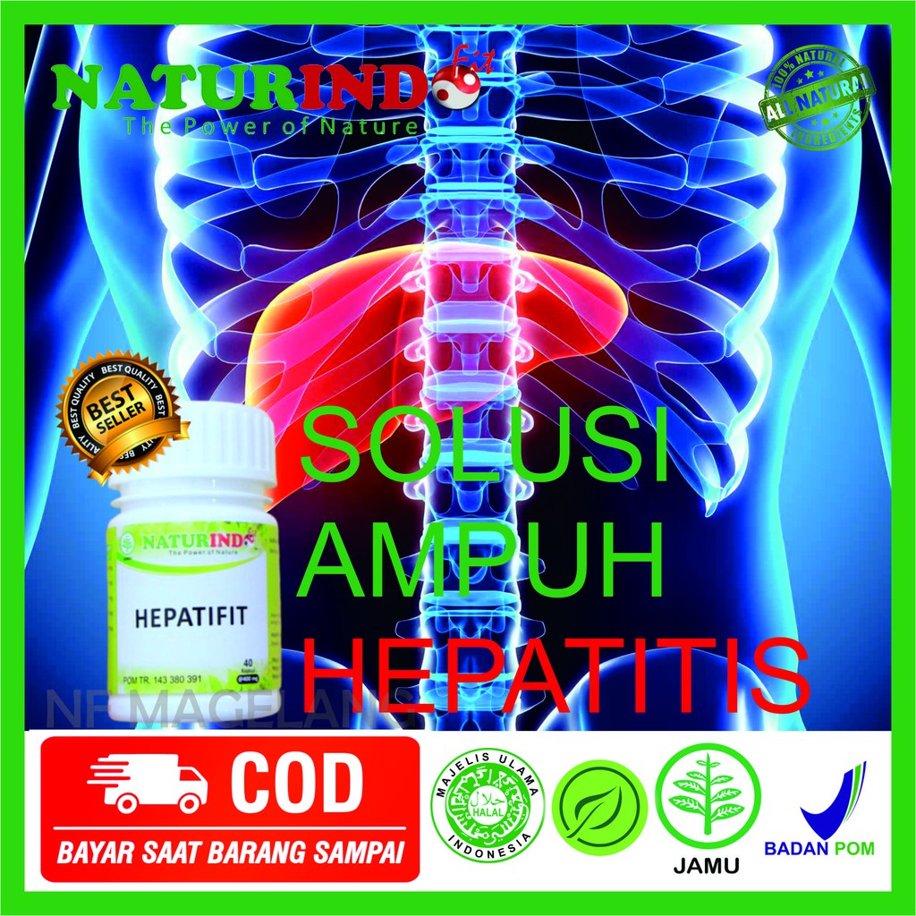 HERBAL hepatitis a hepatitissirosis hepatitis b gangguan sistem syaraf hati hepatitis b menular