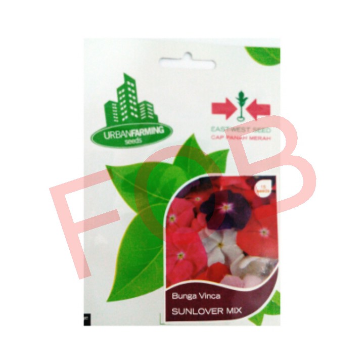 BENIH I PANAH MERAH I BUNGA I VINCA SUNLOVER MIX