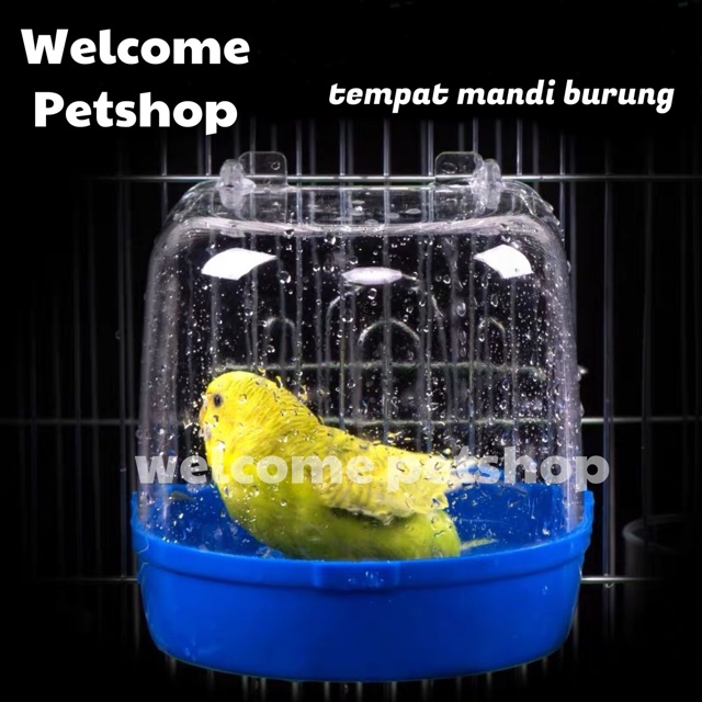 Tempat Mandi Burung Kecil