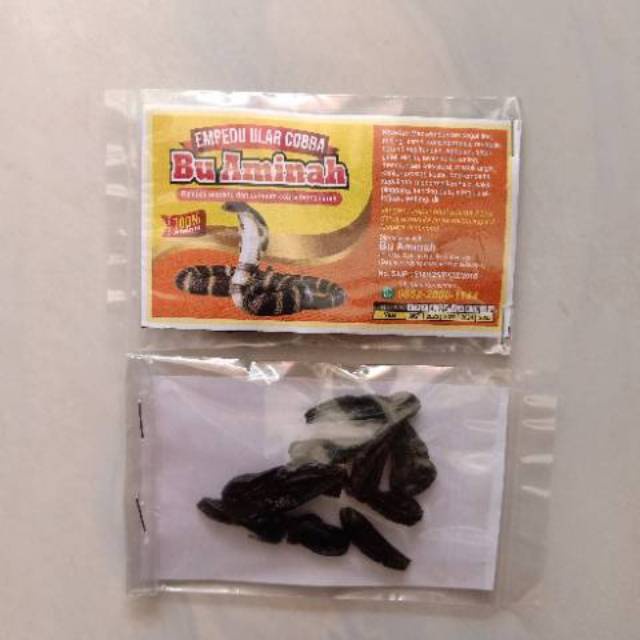 empedu ular cobra asli ibu aminah obat asma kencing manis sakit lever batu empedu kusta darah tinggi