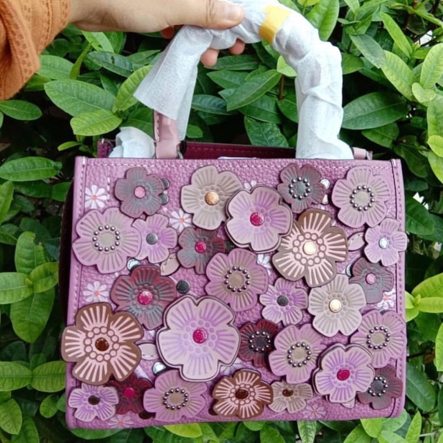 COACH ROGUE TEAROSE SIZE 25