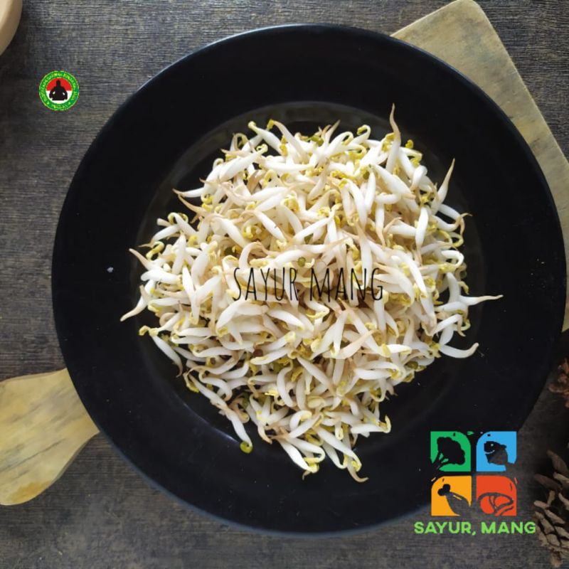 

Tauge Toge Kecambah I Sayur Mang