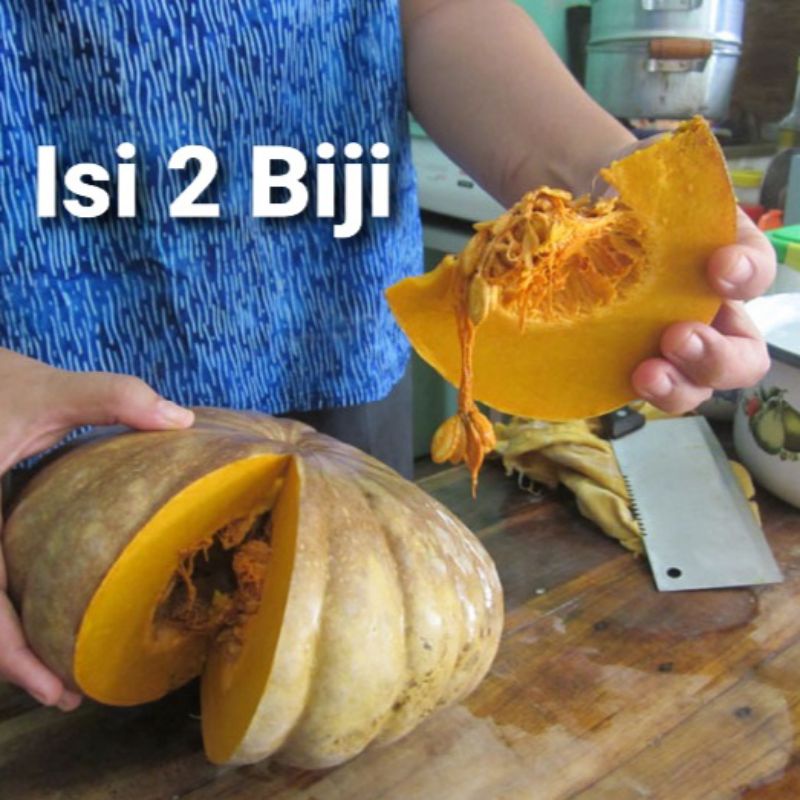 Benih Waluh Eceran Mewalik