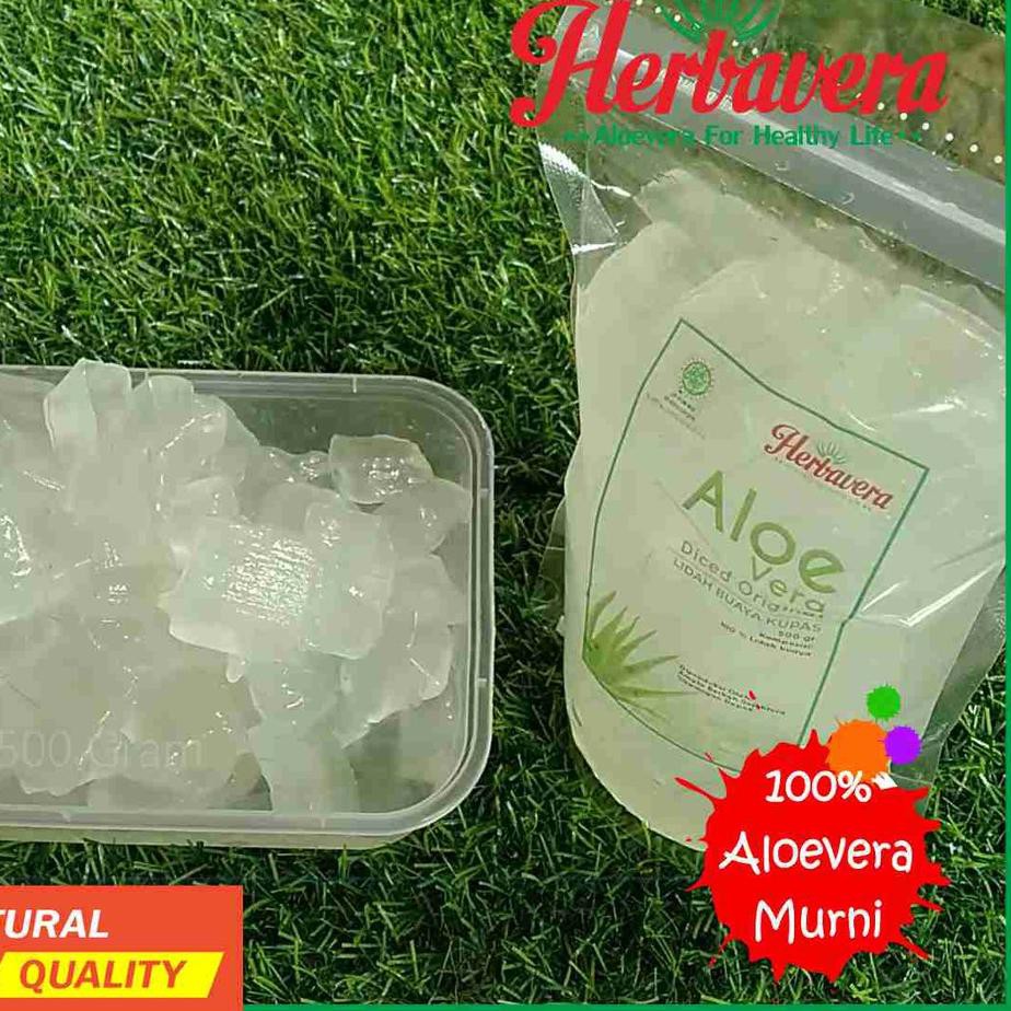 

REAL PICT ! Lidah Buaya / Aloevera Kupas 500 gram