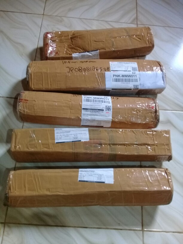 Bibit Adenium Waves Blue Ice Size A