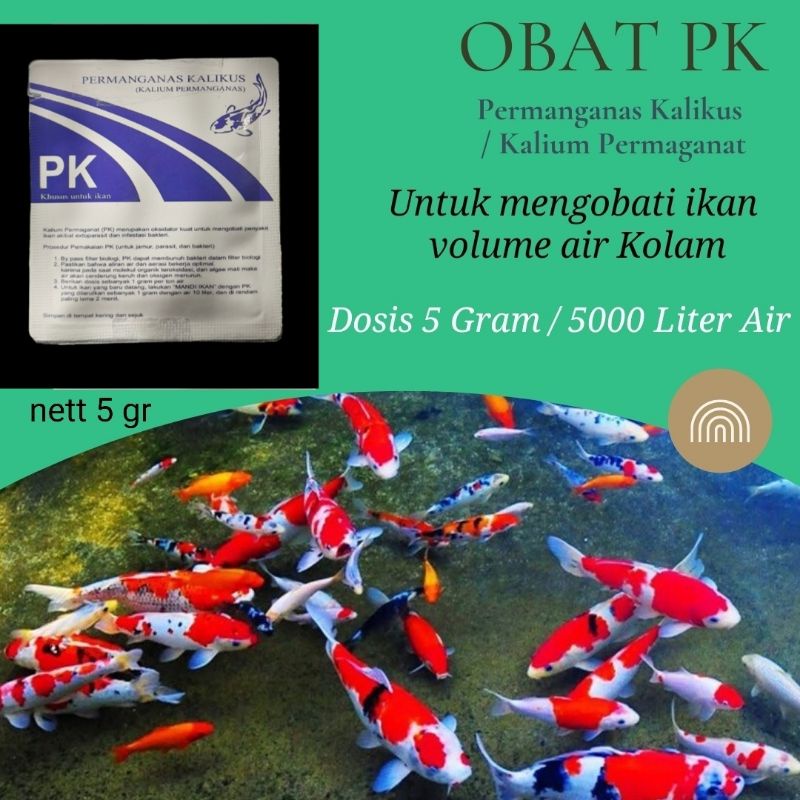 Obat PK Original untuk 5000 liter air Permanganas Kalikus Ori