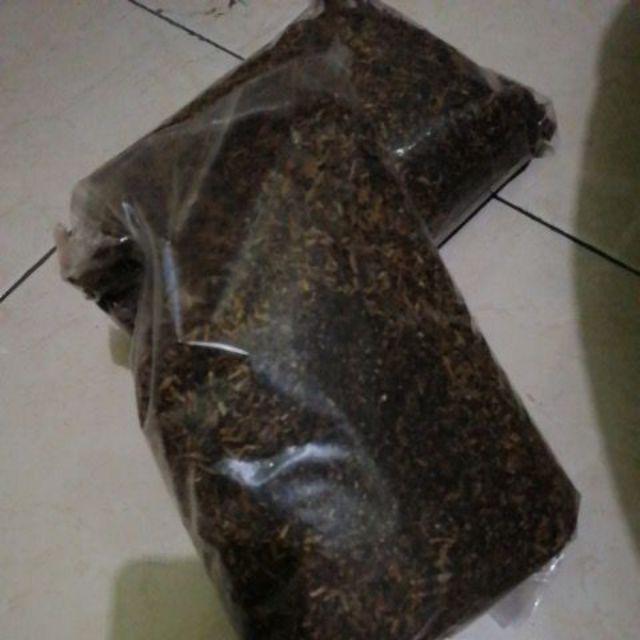 Media Tanam Kaktus/sukulen